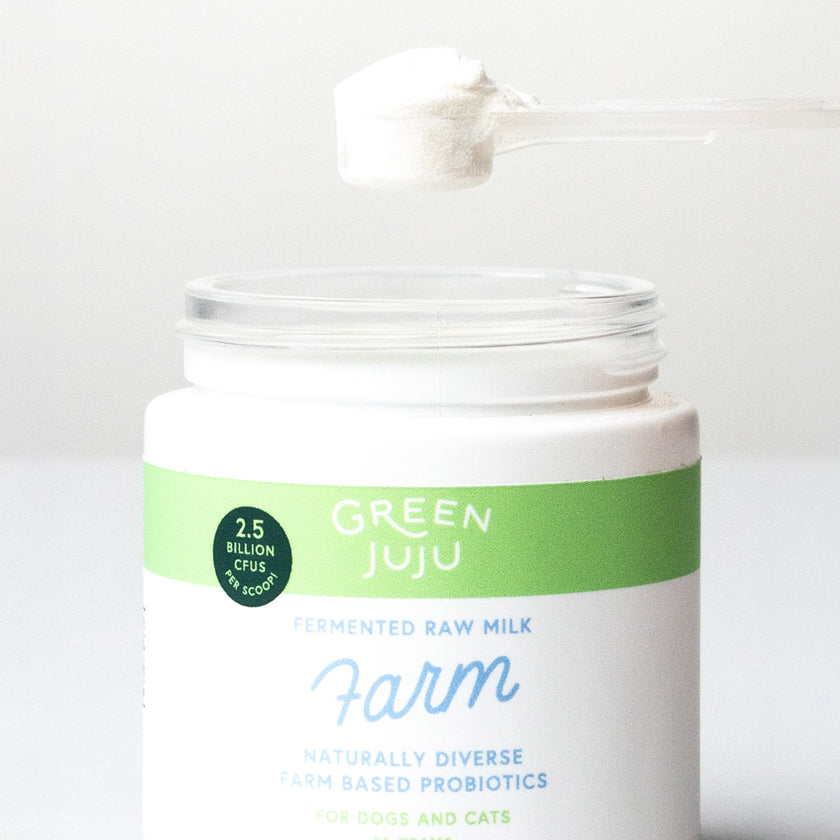 Green Juju Fermented Whole Food Probiotics for Dogs & Cats