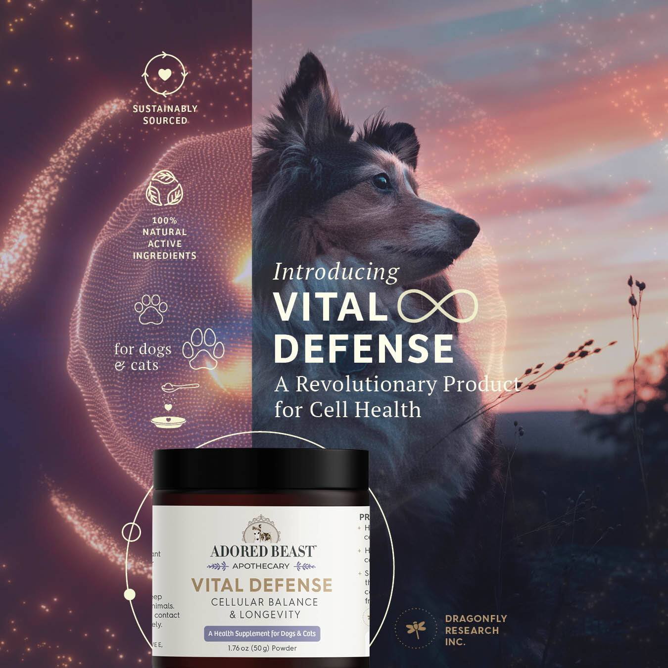 Adored Beast Vital Defense - Happy Hounds Pet Supply