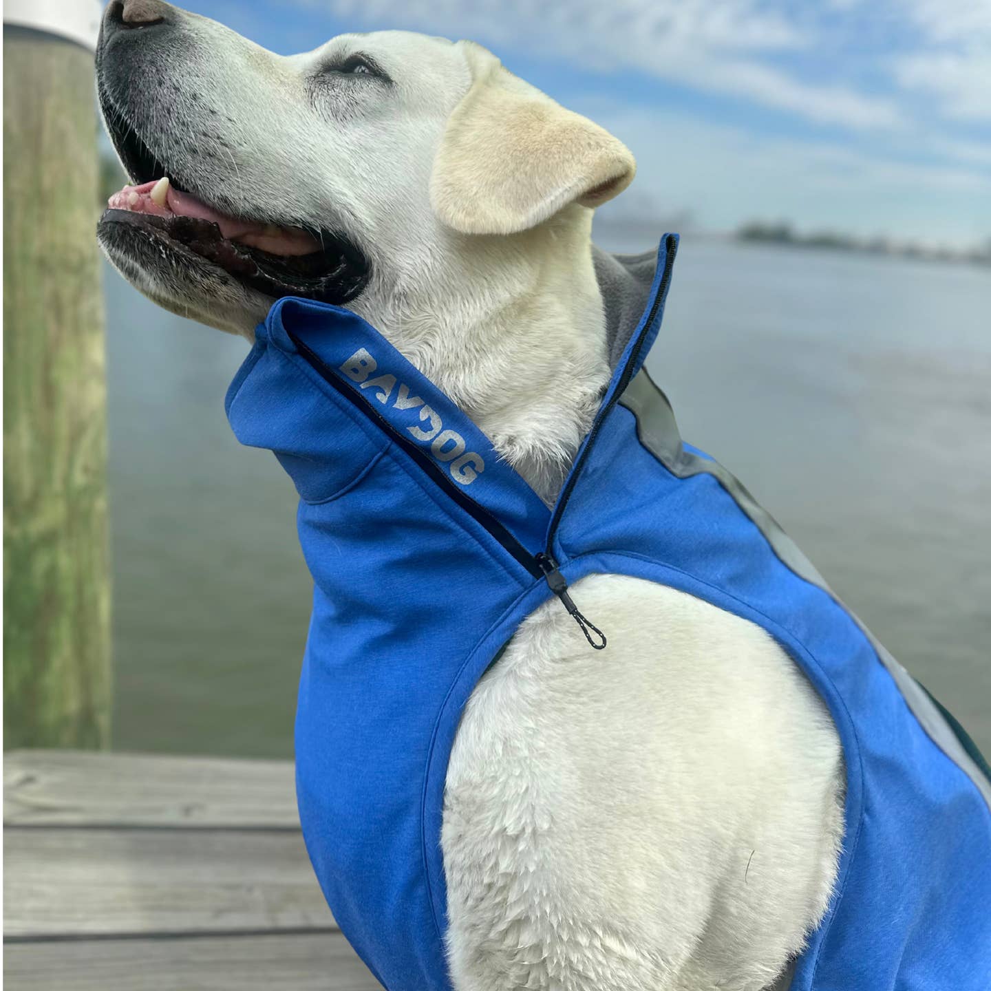 BayDog Saginaw Fleece 2.0 Dog Coat - Happy Hounds Pet Supply