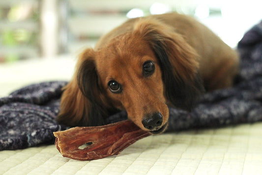 Beef Gullet Strips 6" - 6oz bag - Happy Hounds Pet Supply