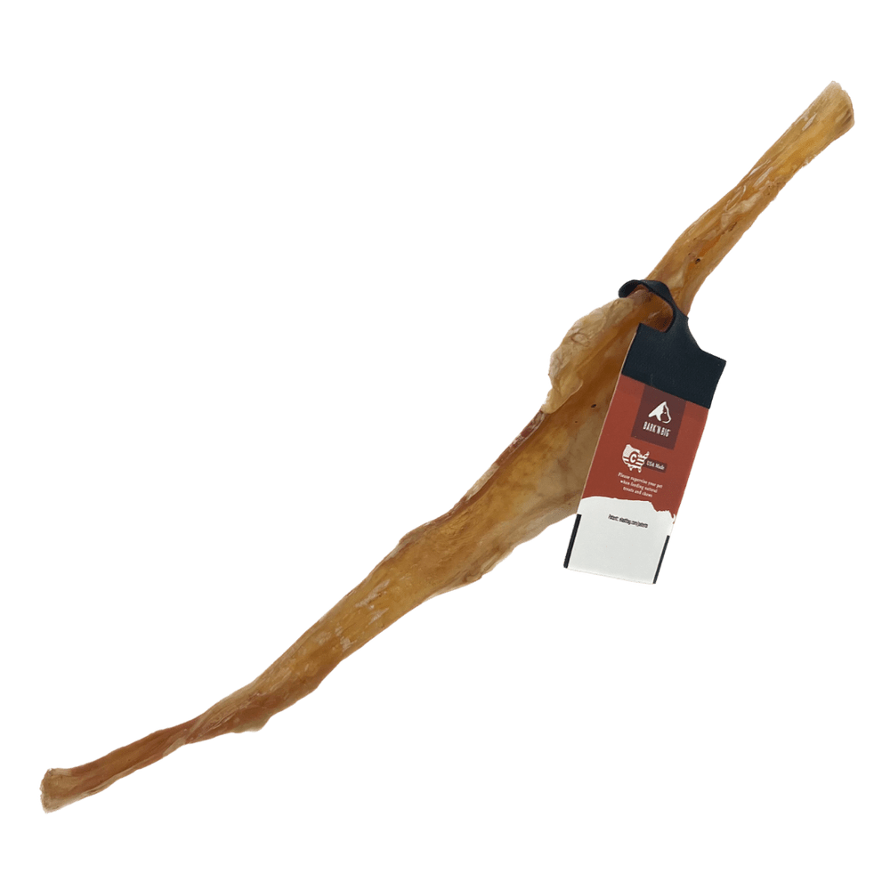 Bison Tendon Chew Strip 8 - 12" - Happy Hounds Pet Supply