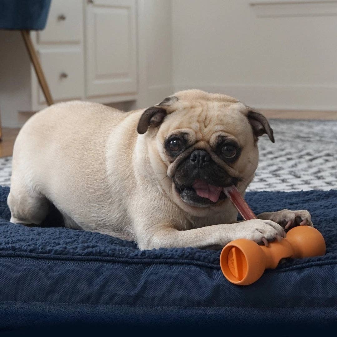 Bow Wow Buddy® Bully Stick Holder - Happy Hounds Pet Supply