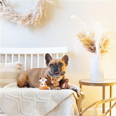 Burrows Mini Dog Toys - Happy Hounds Pet Supply