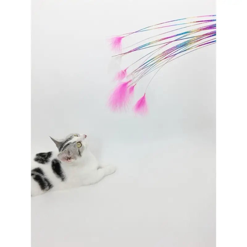 Cat Teaser Wand Toys - Happy Hounds Pet Supply