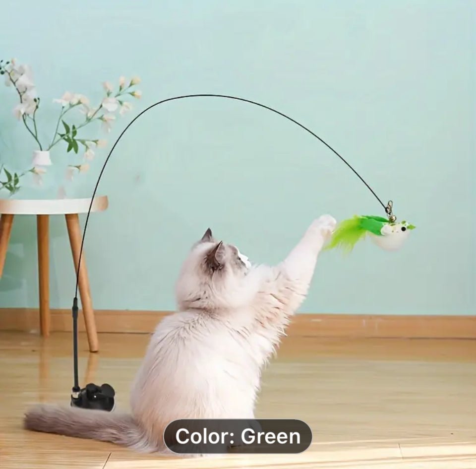 Cat Teaser Wand Toys - Happy Hounds Pet Supply
