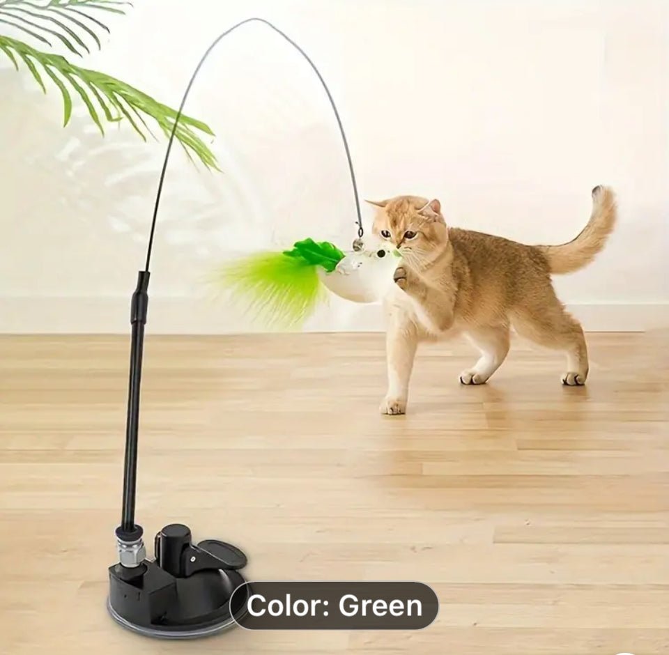 Cat Teaser Wand Toys - Happy Hounds Pet Supply