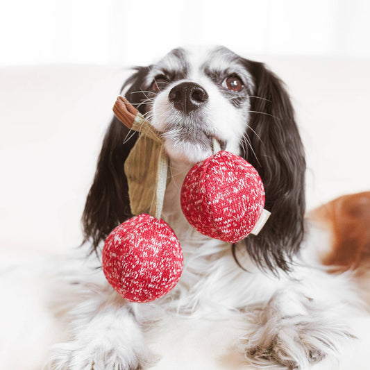 CHERRY POP//ENRICHMENT DOG TOY - Happy Hounds Pet Supply