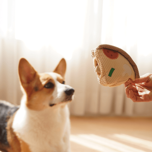 DEEP DISH PIZZA//ENRICHMENT DOG TOY - Happy Hounds Pet Supply