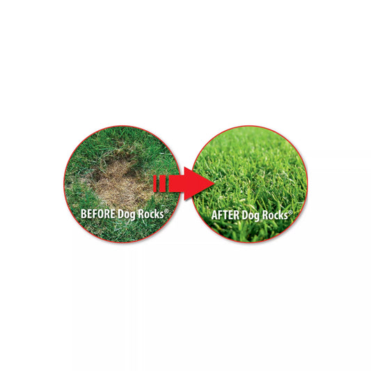 Dog Rocks Lawn Rescue - Happy Hounds Pet Supply