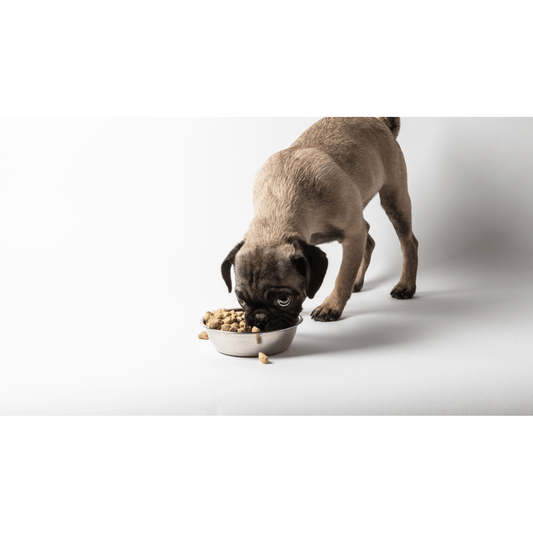 Dr. Marty's Freeze Dried Dog Food - Happy Hounds Pet Supply