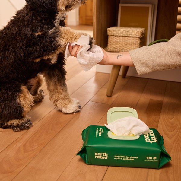 Earth Rated Pet Wipes - Happy Hounds Pet Supply
