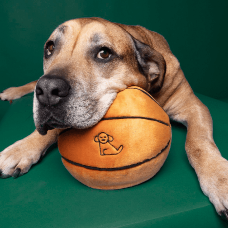 Fluff & Tuff Large and XL Plush Toys - Happy Hounds Pet Supply