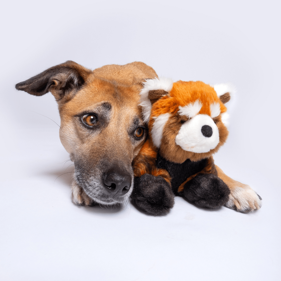 Fluff & Tuff Large and XL Plush Toys - Happy Hounds Pet Supply