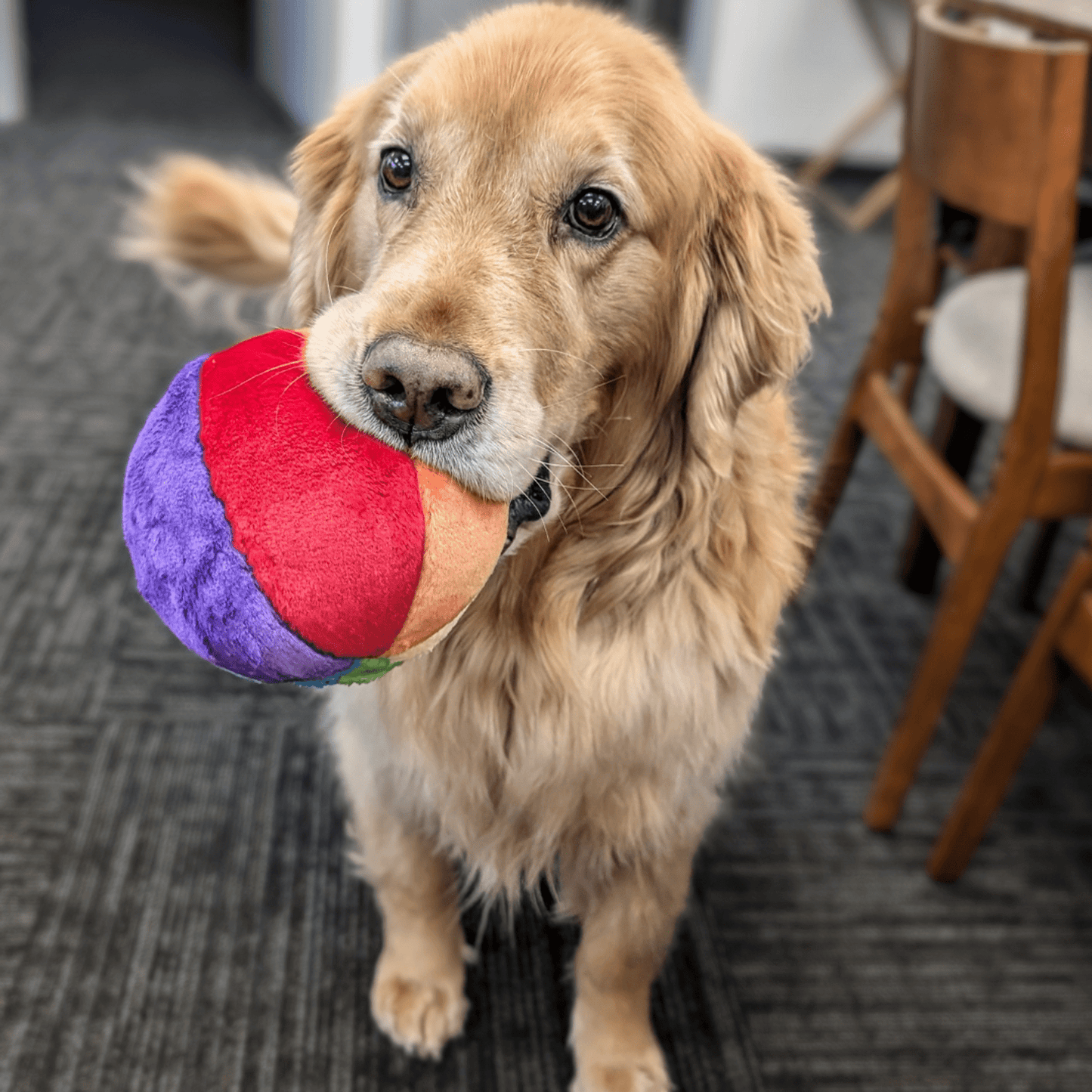 Fluff & Tuff Small Plush Toys - Happy Hounds Pet Supply