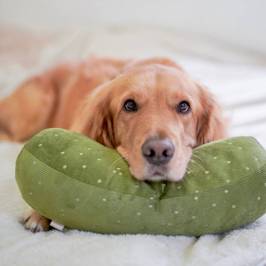 GIANT PICKLE//ENRICHMENT DOG TOY - Happy Hounds Pet Supply