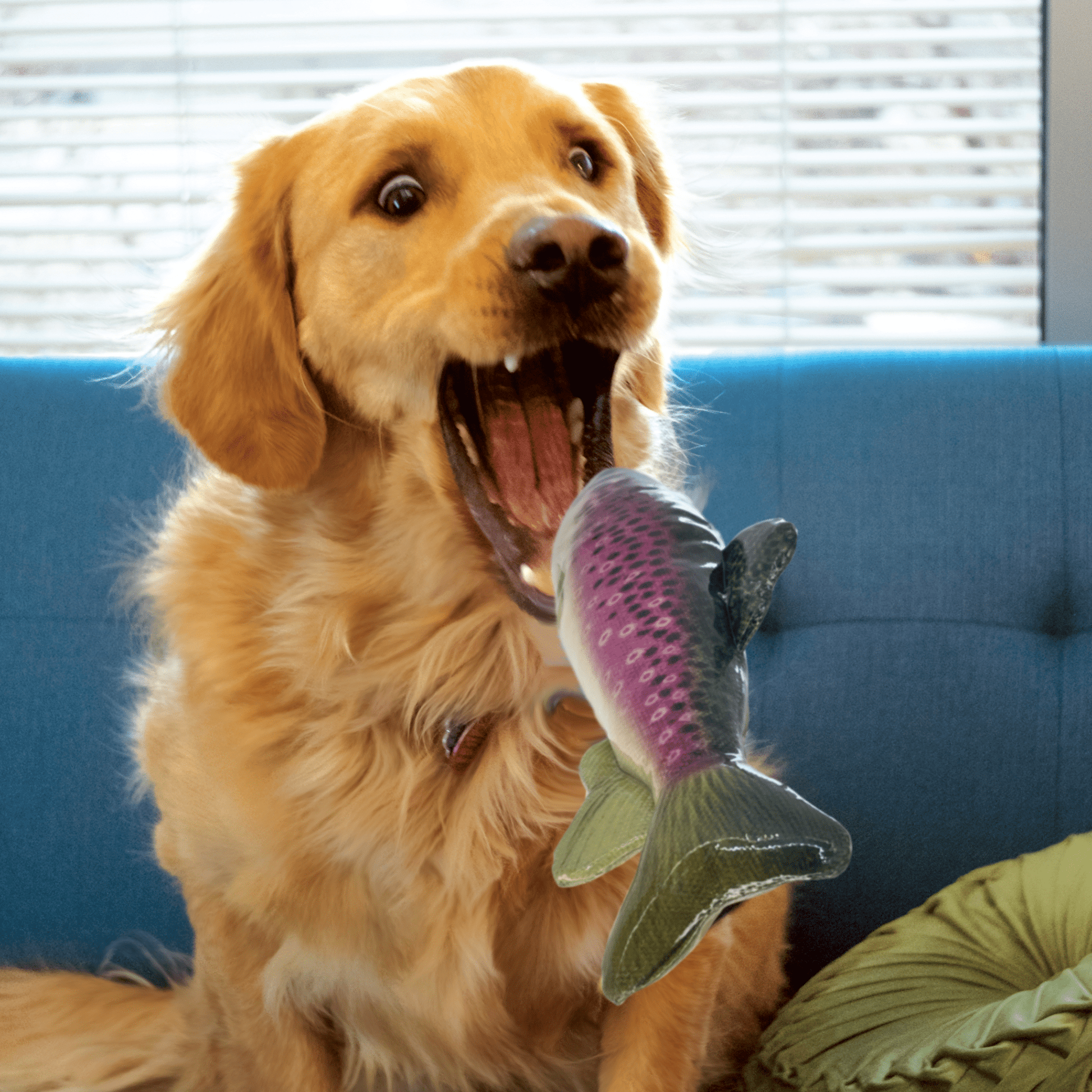 Kong Wild Shieldz Trout - Happy Hounds Pet Supply