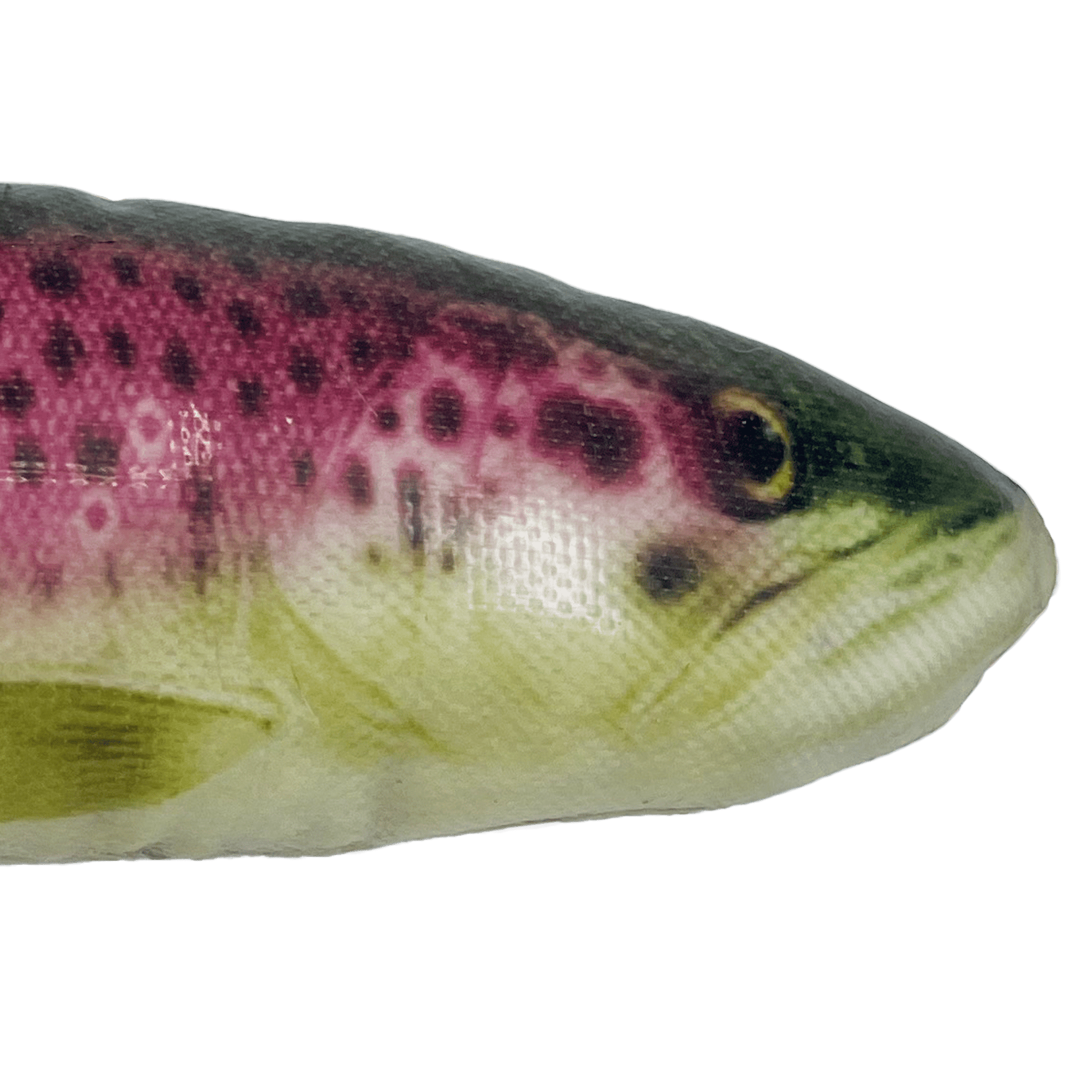 Kong Wild Shieldz Trout - Happy Hounds Pet Supply