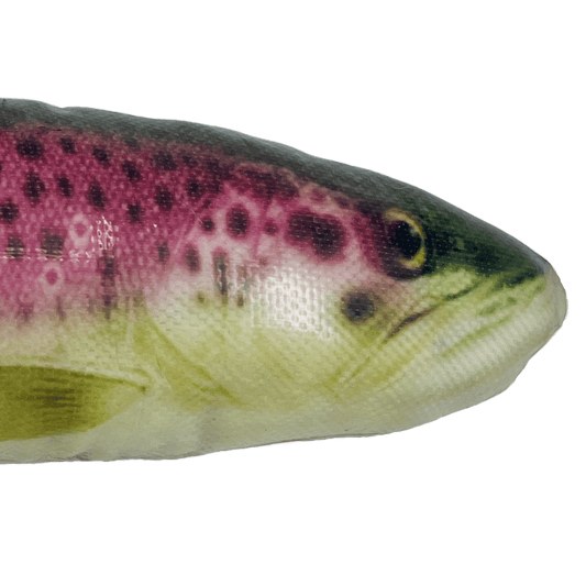 Kong Wild Shieldz Trout - Happy Hounds Pet Supply