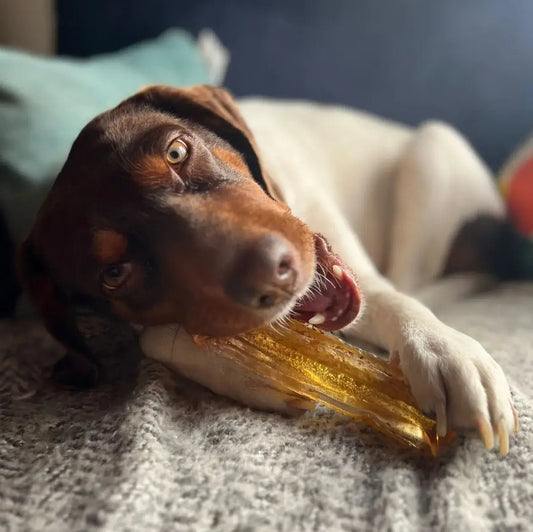 Mighty Marrows Collagen Dental Chew - Beef Liver - Happy Hounds Pet Supply