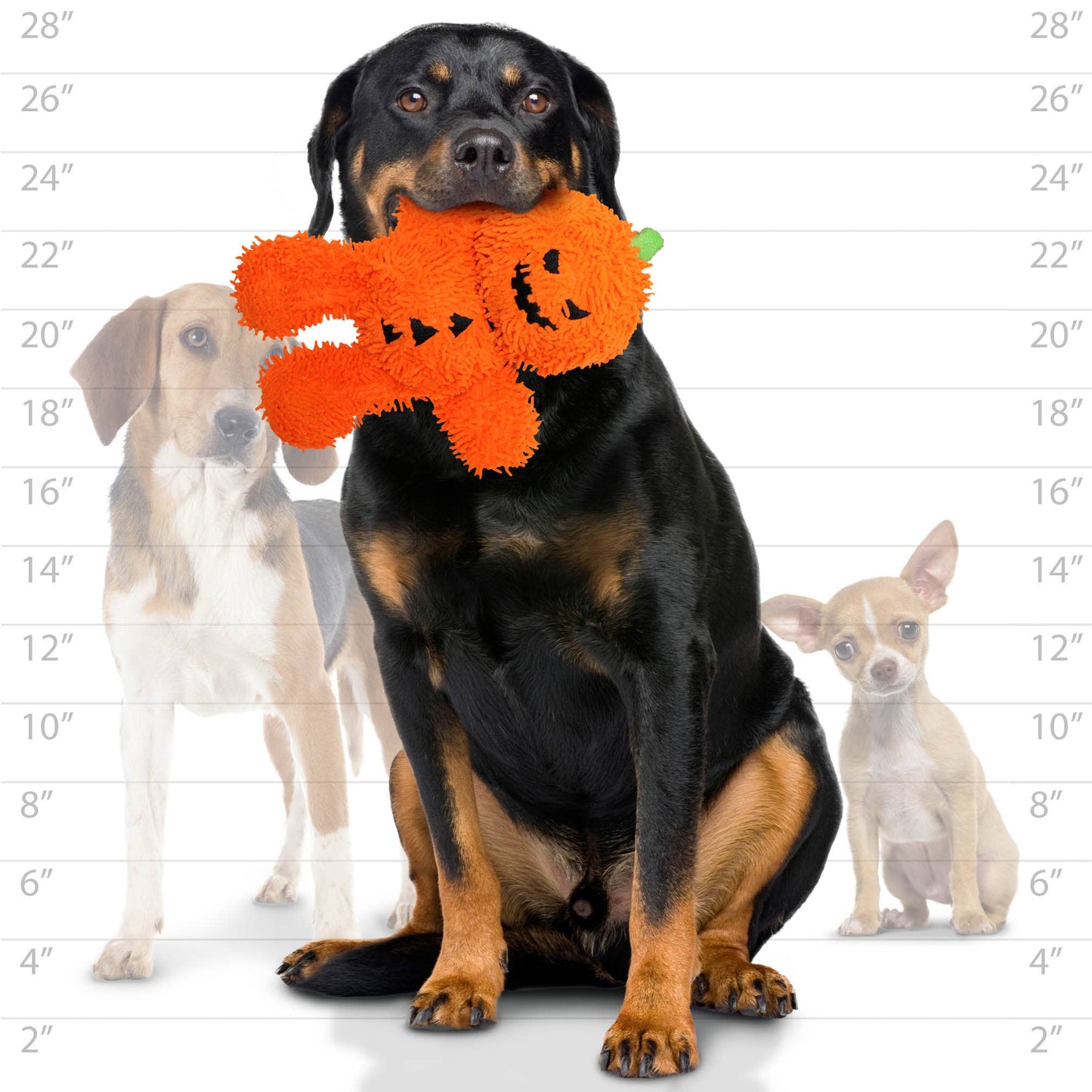 Mighty Microfiber Ball Pumpkin Man, Halloween Dog Toy - Happy Hounds Pet Supply