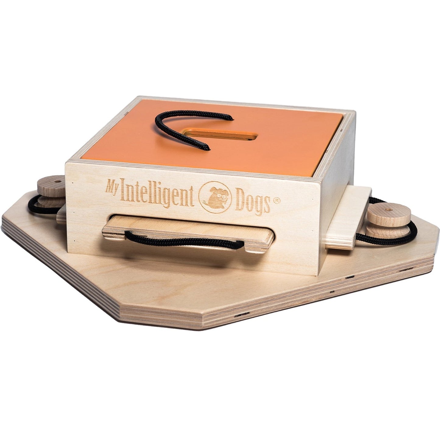 My Intelligent Pets Dog and Cat Puzzles - Happy Hounds Pet Supply