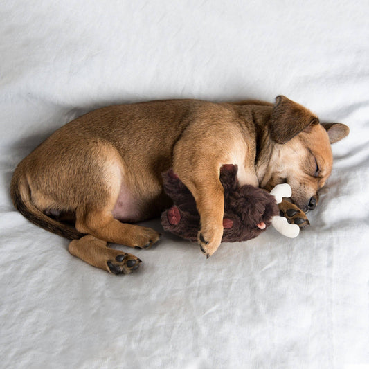 Nocciola Moose Heart Beat Dog Toy - Happy Hounds Pet Supply