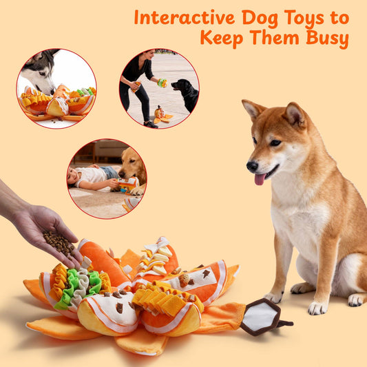 Nocciola Pumpkin Puzzle Dog Toy - Happy Hounds Pet Supply