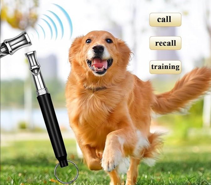 Professional Dog Whistle - Happy Hounds Pet Supply