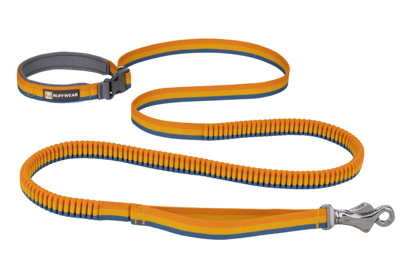 Ruffwear Roamer Bungee Dog Leash - Happy Hounds Pet Supply