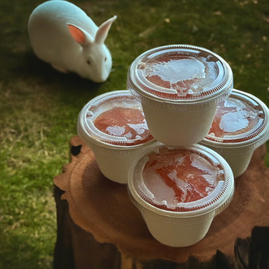 Snort and Gobbles - Frozen Protein, Good For Belly Treats Your Pets Will Love - Happy Hounds Pet Supply