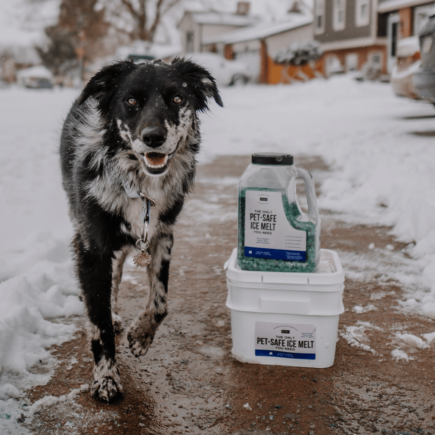 The Only Pet - Safe Ice Melt You Need - Happy Hounds Pet Supply