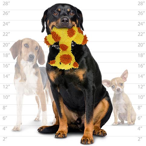 Tuffy Mighty Microfiber Giraffe Dog Toy - Happy Hounds Pet Supply