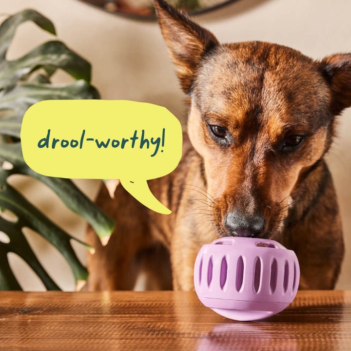 Woof Pupsicle Freezable Treat Dispenser - Happy Hounds Pet Supply