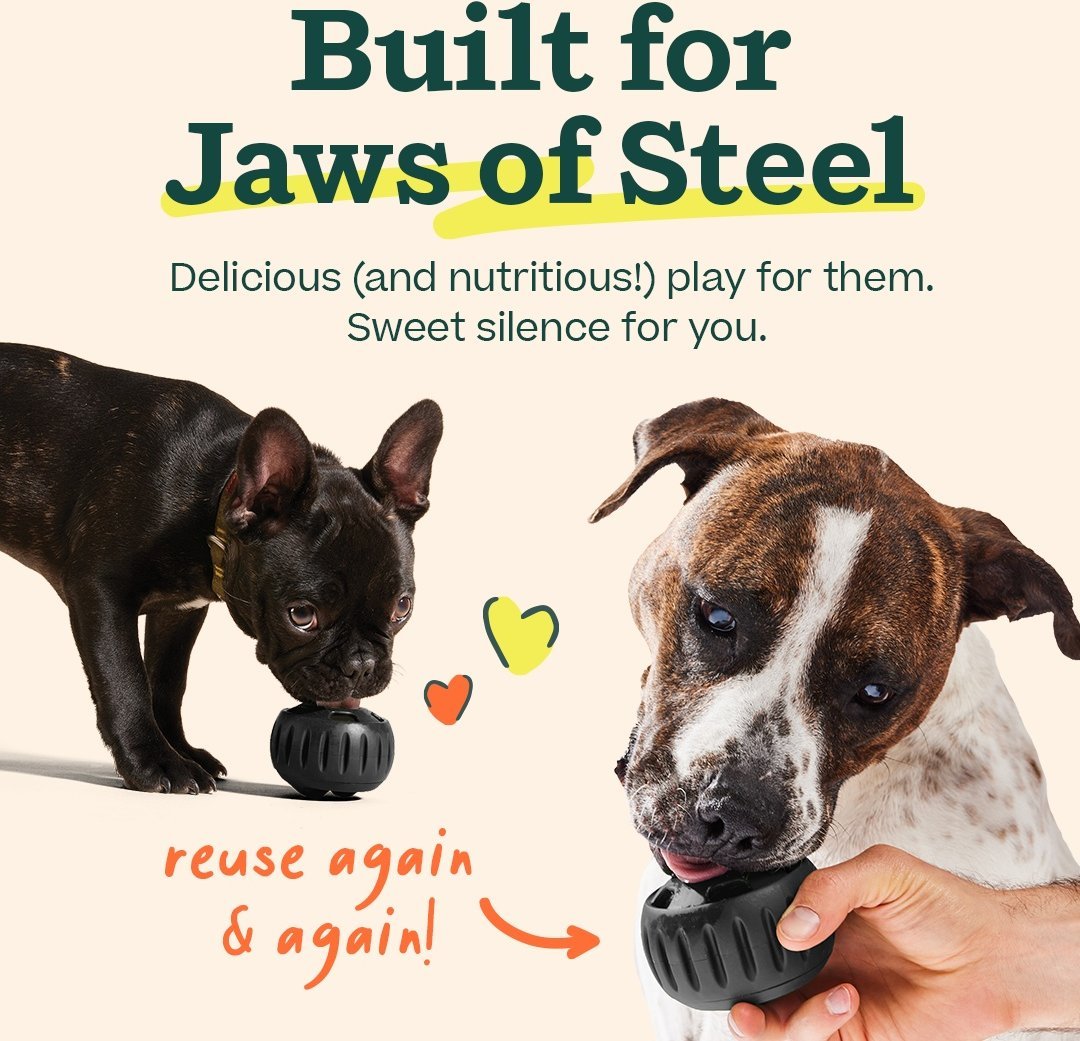 Woof Pupsicle Freezable Treat Dispenser - Happy Hounds Pet Supply