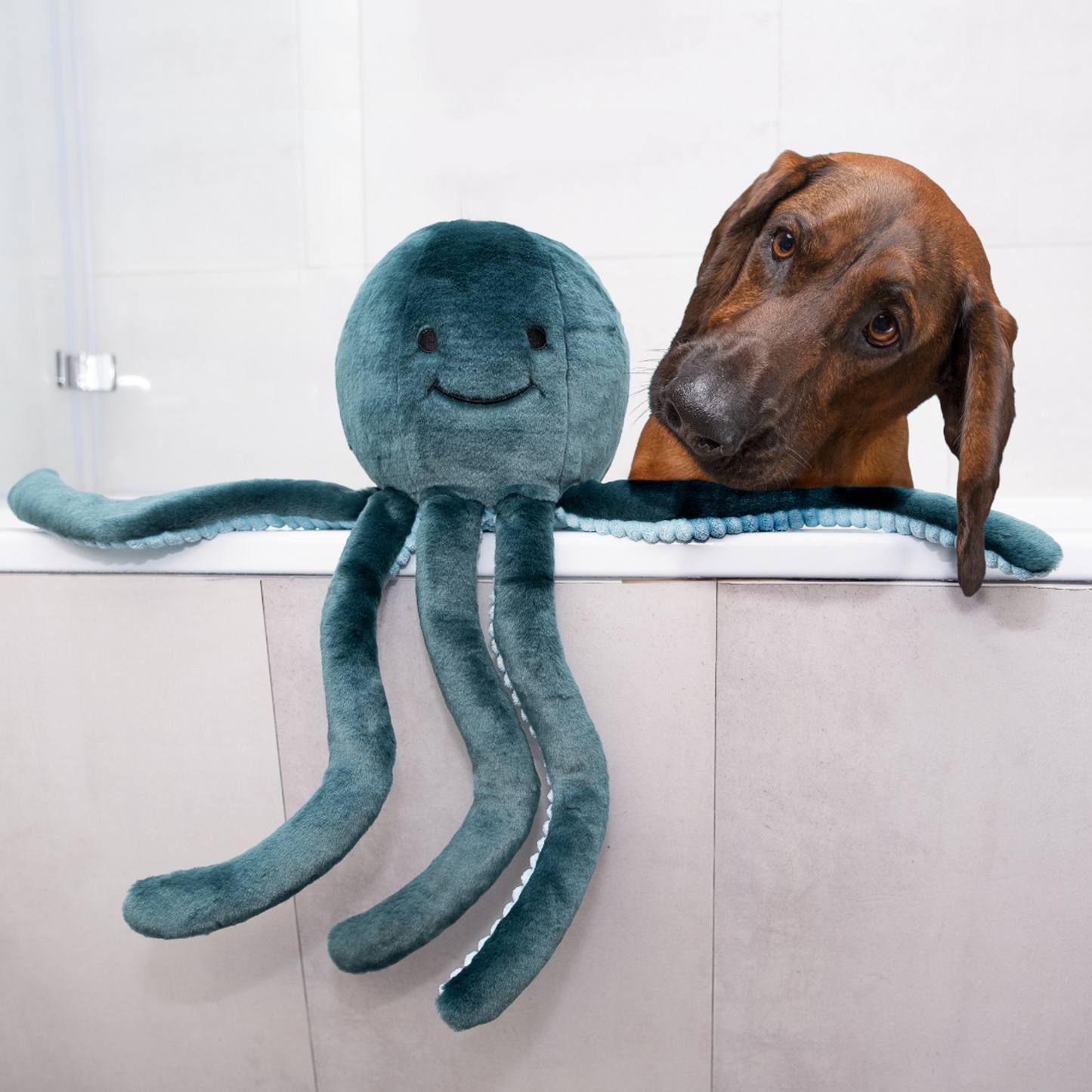 Fluff & Tuff Plush Toys