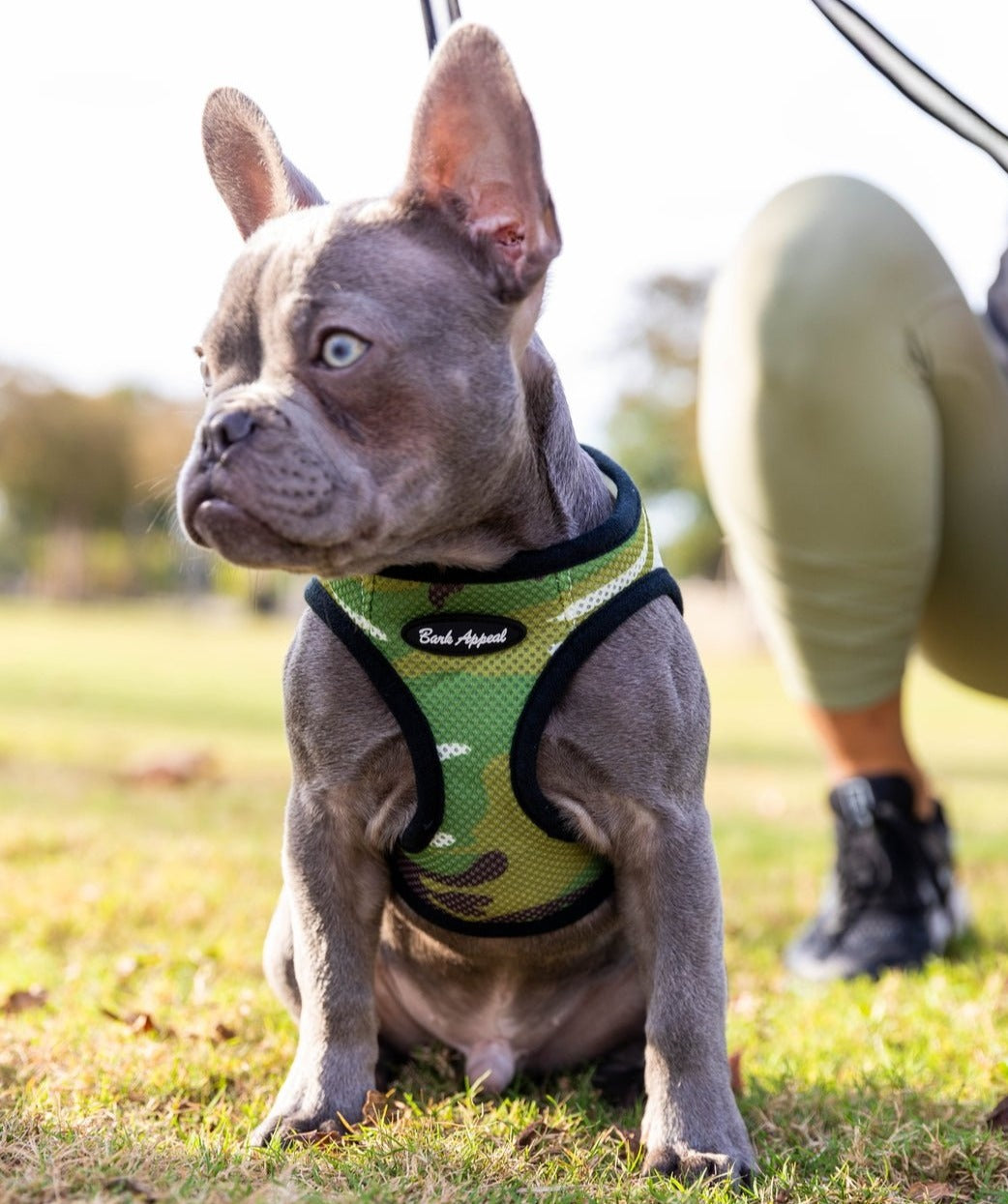 Bark Appeal Mesh Step-In Harness