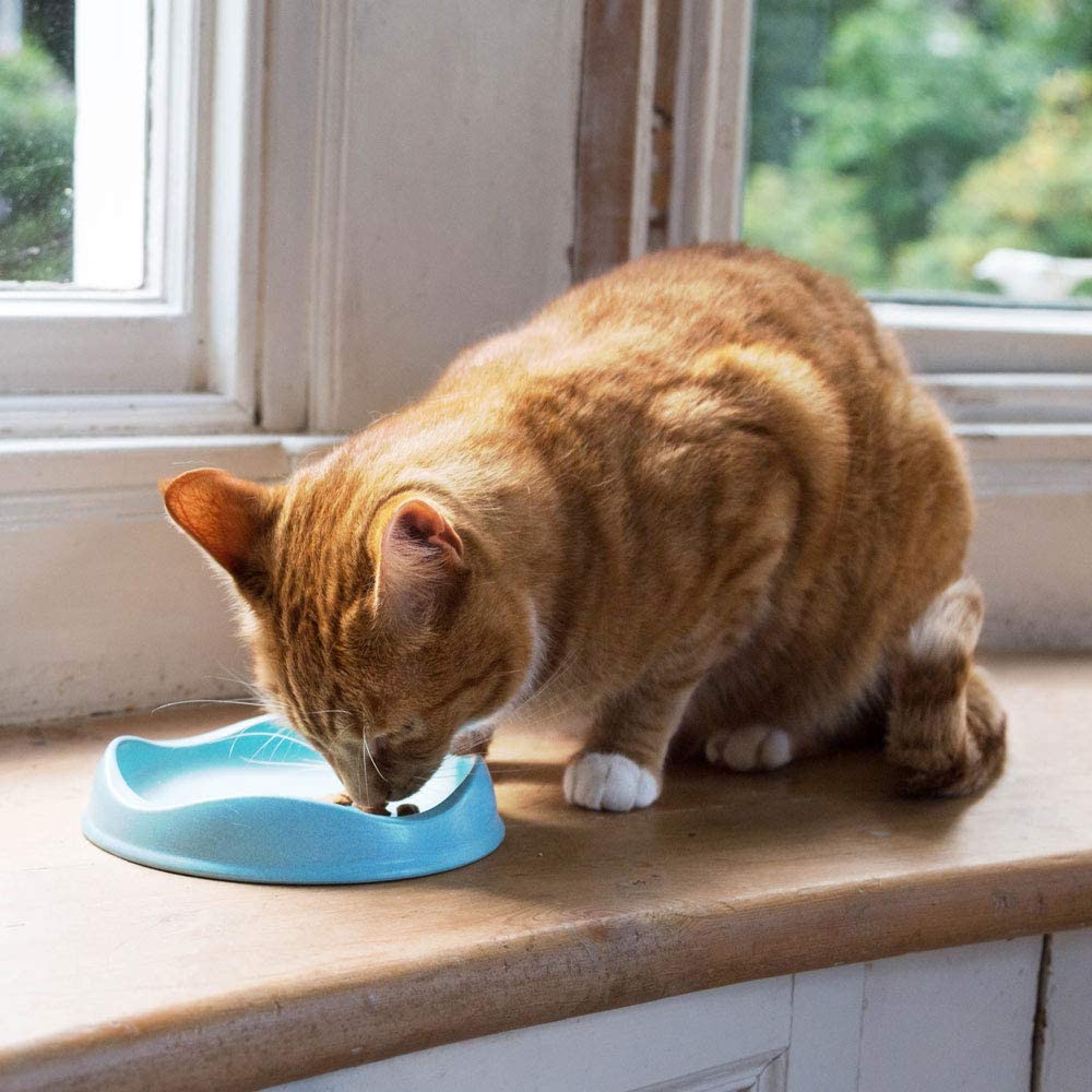 Beco Bamboo Bowls Cat Natural