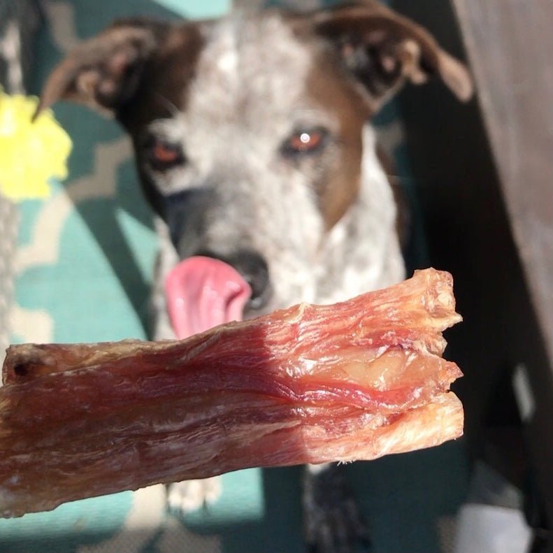 Beef Tendon Extra Large