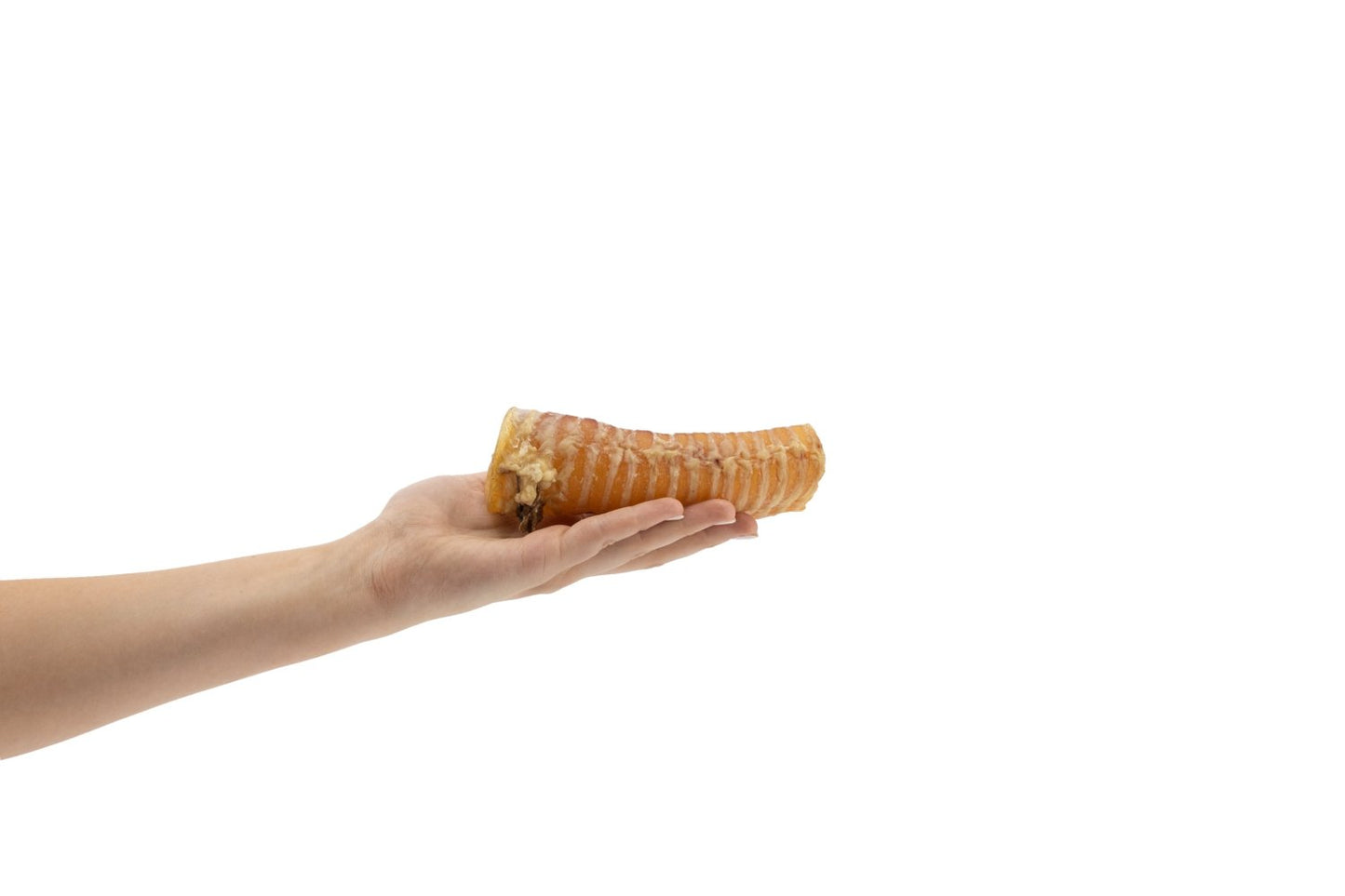 Whole Beef Trachea