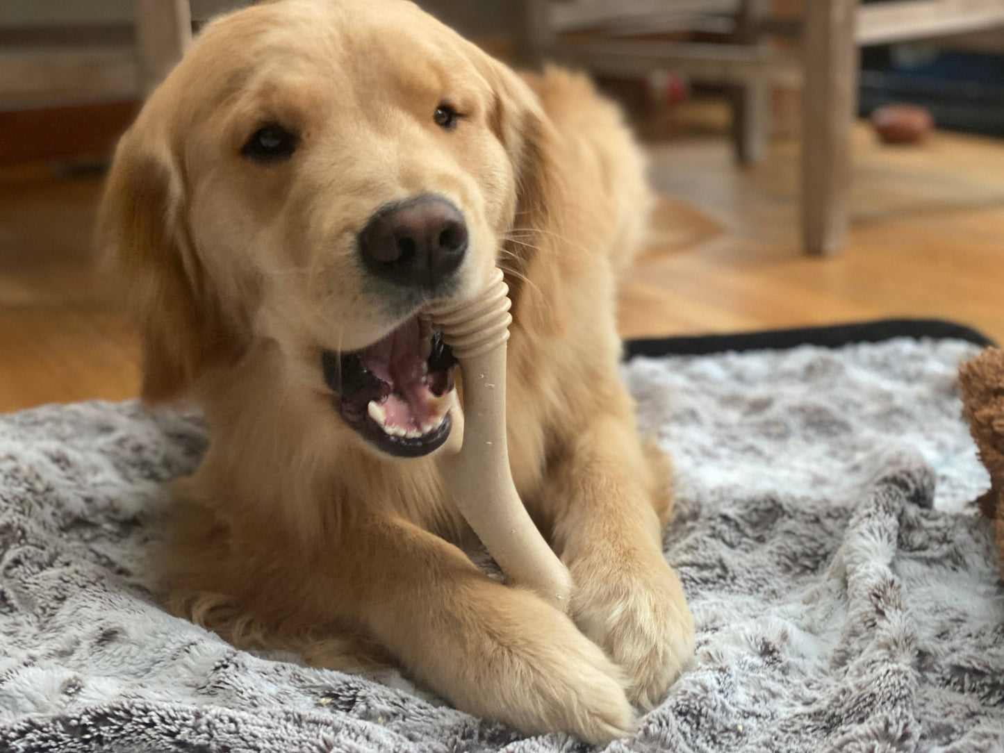 BetterBone - CLASSIC All Natural, Eco, Safe on teeth Chew Toy - Happy Hounds Pet Supply