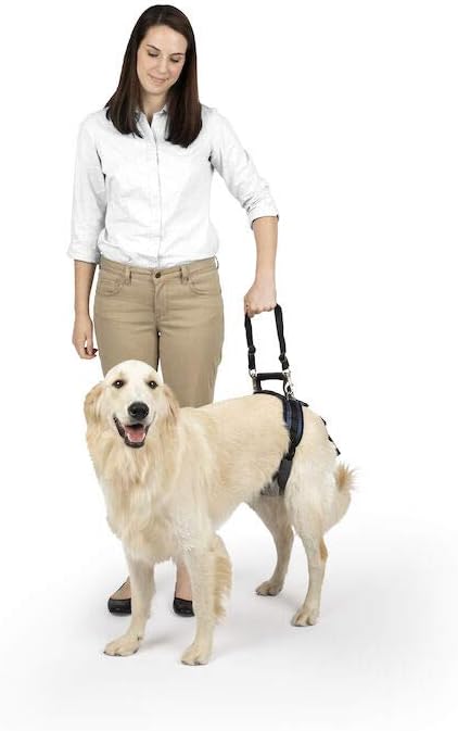 Carelift Rear Only Harness - Happy Hounds Pet Supply