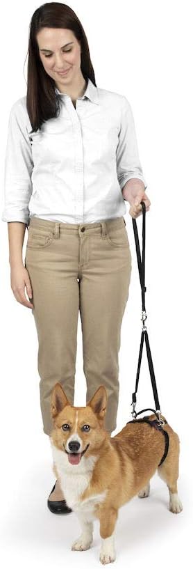 Carelift Rear Only Harness - Happy Hounds Pet Supply