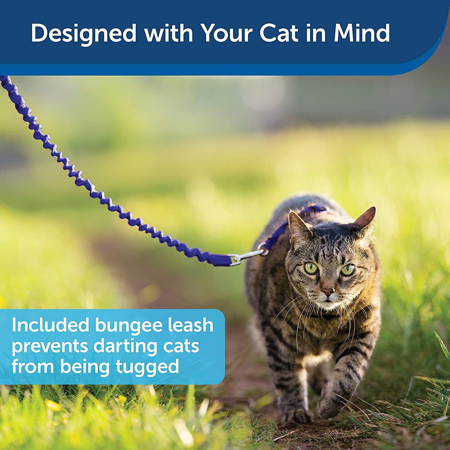 Come with Me Kitty Harness & Bungee Leash Blue