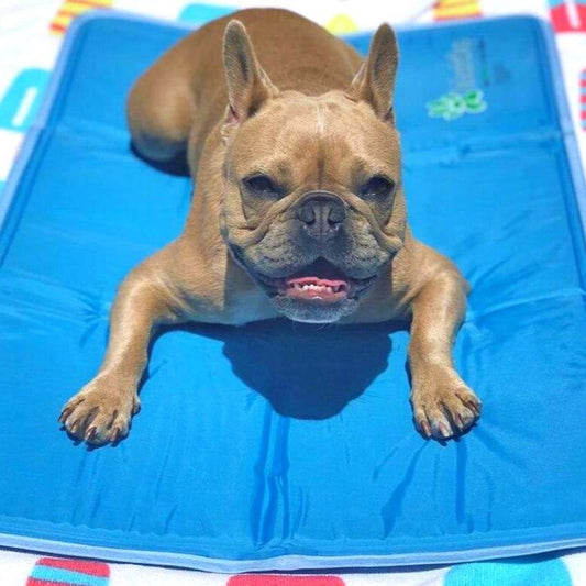 Green Pet Shop Cool Pet Pad