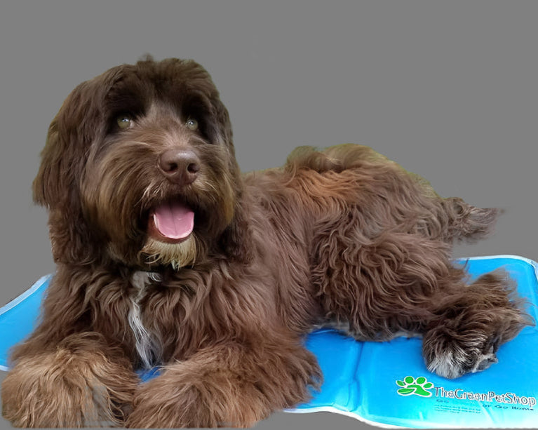 Green Pet Shop Cool Pet Pad