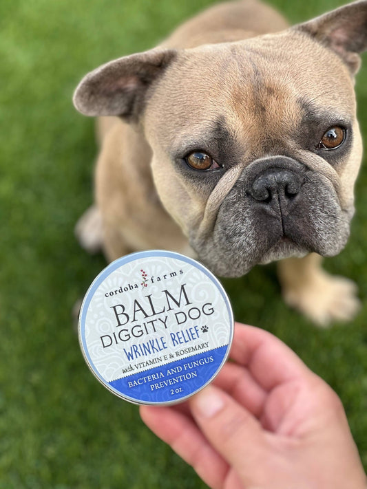Cordoba Farms - Balm Diggity Dog | Wrinkle Relief - Happy Hounds Pet Supply