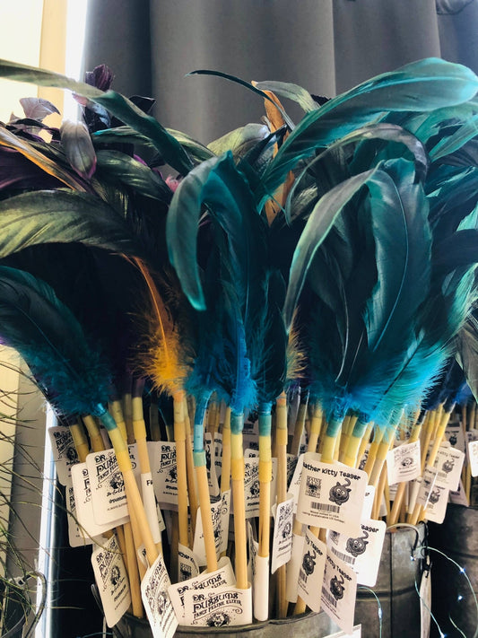 Dr. Pussums Catnip - Cat Teasers Cat Toys - Happy Hounds Pet Supply