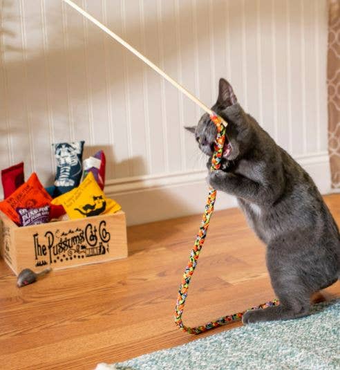 Dr. Pussums Catnip - Cat Teasers Cat Toys - Happy Hounds Pet Supply