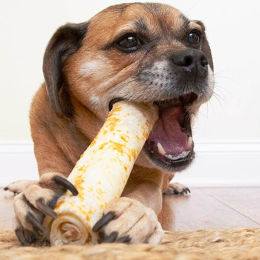 Earth Animal No Hide Chews