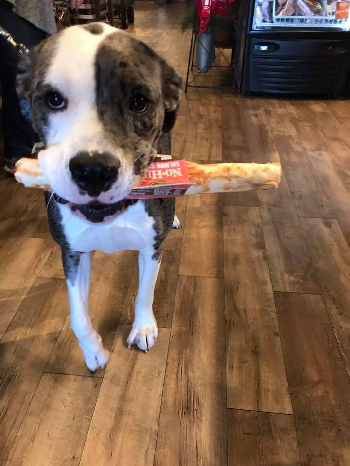 Earth Animal No Hide Chews Singles 11 inch Peanut Butter
